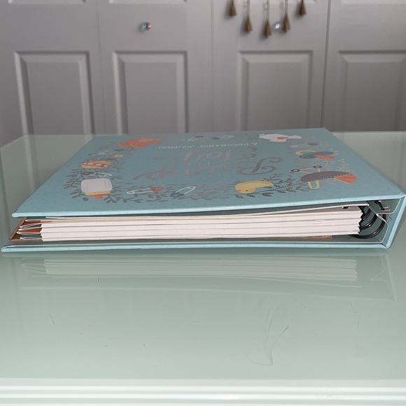 Bump For Joy Pregnancy Journal gender neutral pages trimester pastel spiral hard - Picture 5 of 10